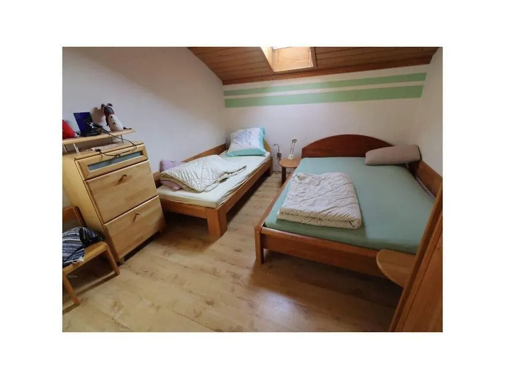 Anna Geissinger Comfortable Holiday Residence Mauth Holiday home